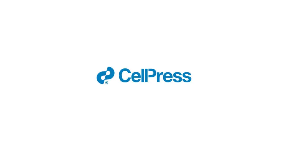 Rapid identification of neutralizing antibodies against SARS-CoV-2 variants by mRNA display