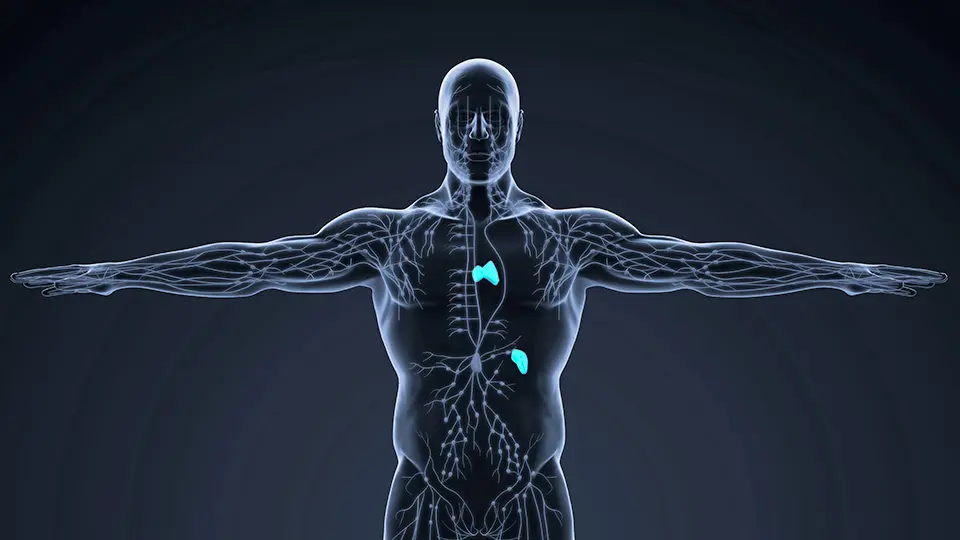 Relapses/Refractory Non-Hodgkin Lymphoma